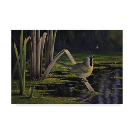 Wilhelm Goebel 'Yellow Throat' Canvas Art,30x47